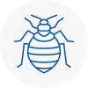 Bed Bug Extermination In Kersall